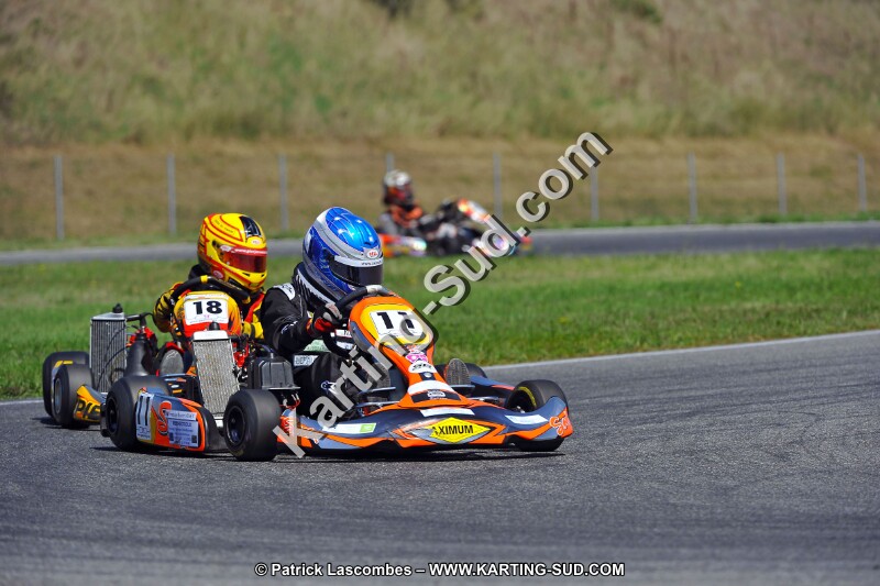 DSC_ (1390).jpg